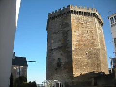 DSCN6499
