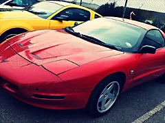 DSC_0768 DSC_0768