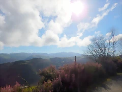 DSCN8983 DSCN8983