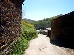 DSCN4510 DSCN4510