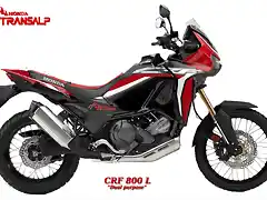 TA CRF 800L Dual purpose