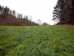 DSCN3004 DSCN3004