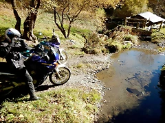 DSCN9768 DSCN9768