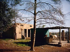PIC04867