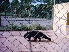 PIC04856