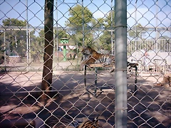 PIC04868