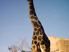 PIC04842