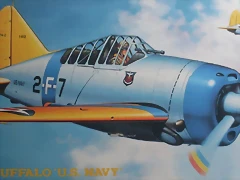 Hasegawa - F2A-2 Buffalo U.S.Navy - 1-72