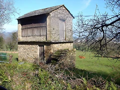 DSCN8132