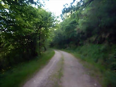DSCN3202 DSCN3202
