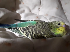 20190402_210616