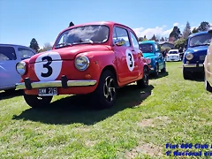 231
