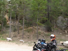 A15