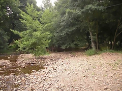 CIMG0736