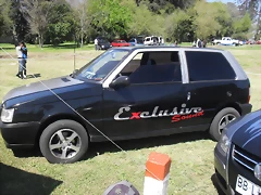 SDC13541 SDC13541