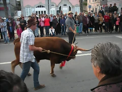 DSCN3759