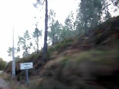 DSCN1741 DSCN1741