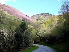 DSCN9055 DSCN9055