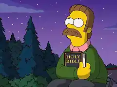 ned-flanders-simpson_0