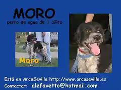 MORO Sevilla