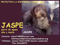 JASPE Ciudad Real