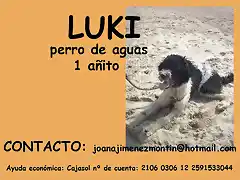 LUKI Sevilla