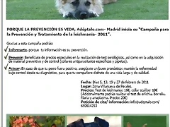 cartel cartel