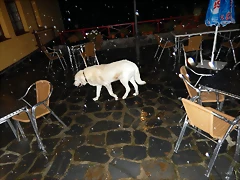 DSCN0044
