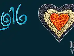 FIRMA 2016