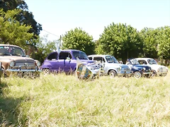 P1070899 P1070899