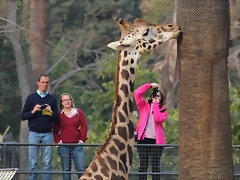 Zoo de Barcelona 03-03-12 376 Zoo de Barcelona 03-03-12 376