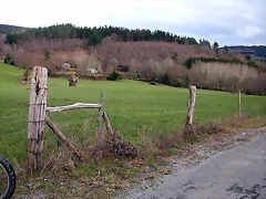 DSCN1179