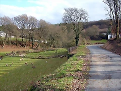 DSCN1170