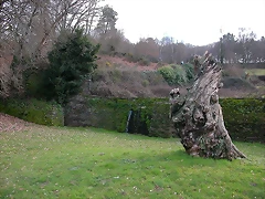 DSCN1167