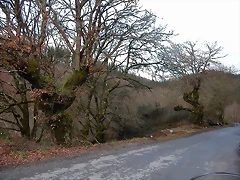 DSCN1200 DSCN1200
