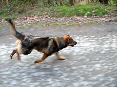 DSCN1196 DSCN1196