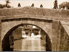 DSCN9527'5 DSCN9527'5