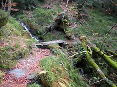 DSCN0780 DSCN0780