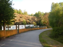 DSCN2153 DSCN2153