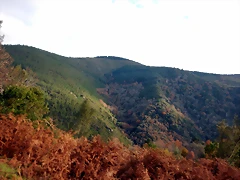 DSCN3285 DSCN3285