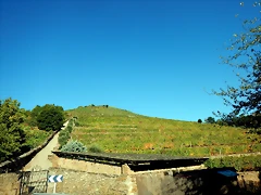 DSCN1483 DSCN1483