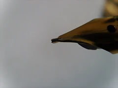 PIC_0004 PIC_0004