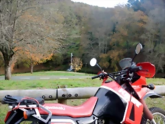 DSCN1786 DSCN1786