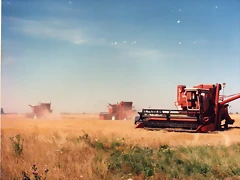 img135