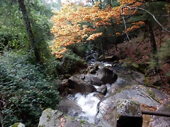 DSCN1913 DSCN1913