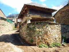 DSCN9081 DSCN9081