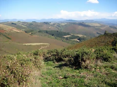 IMG_0596 IMG_0596