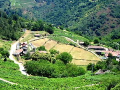 05-IMG_7215