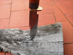 DSCF1373 DSCF1373