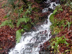 DSCN0713 DSCN0713